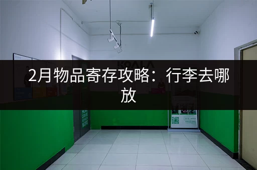 2月物品寄存攻略：行李去哪放，不用愁