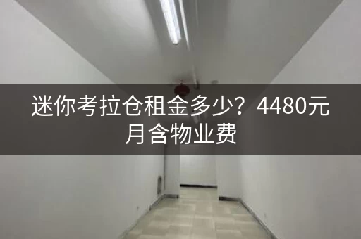 迷你考拉仓租金多少？4480元月含物业费