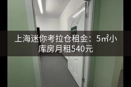 上海迷你考拉仓租金：5㎡小库房月租540元，看这里！