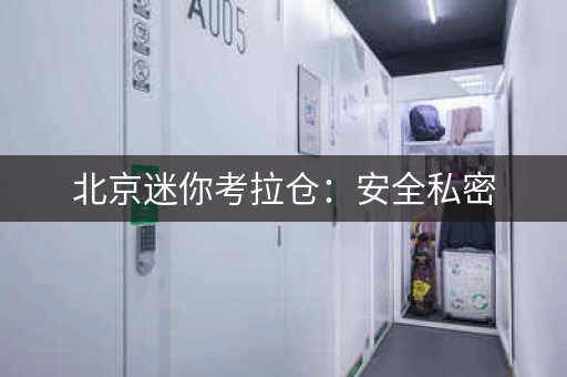 北京迷你考拉仓：安全私密，温湿度控制，珍贵物品有保障