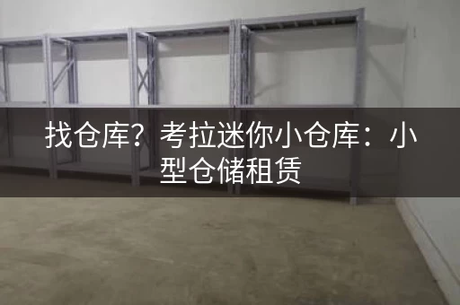 找仓库？考拉迷你小仓库：小型仓储租赁，方便快捷安全