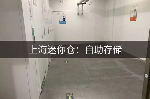 上海迷你仓：自助存储，灵活便捷