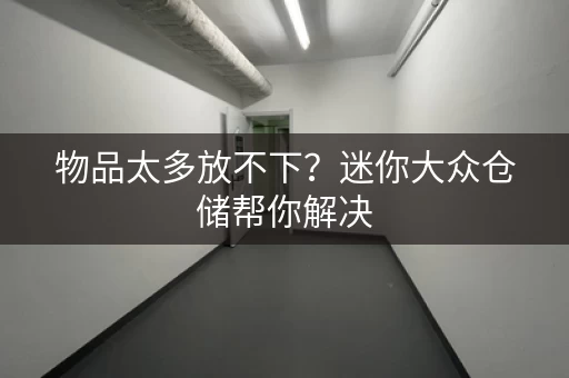 物品太多放不下？迷你大众仓储帮你解决