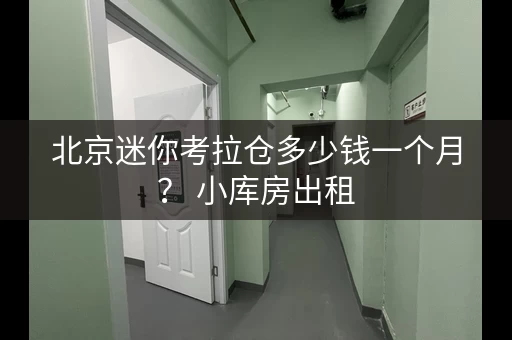 北京迷你考拉仓多少钱一个月？ 小库房出租，低至540元月