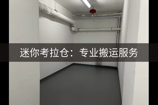 迷你考拉仓：专业搬运服务，轻松储物