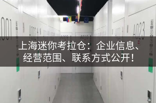 上海迷你考拉仓：企业信息、经营范围、联系方式公开！