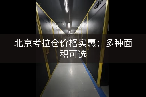 北京考拉仓价格实惠：多种面积可选