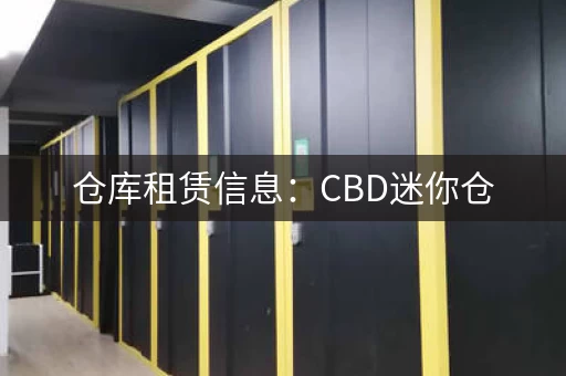 仓库租赁信息：CBD迷你仓，安全便捷可靠