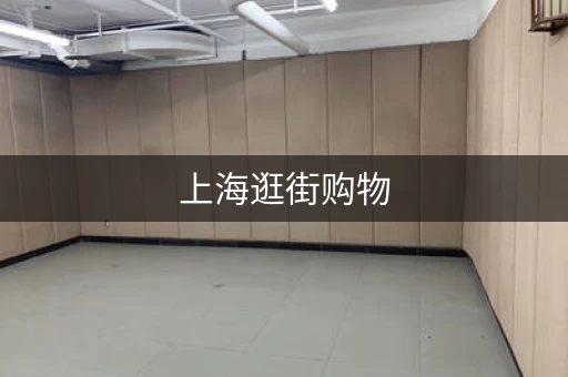 上海逛街购物，行李寄存去哪里？