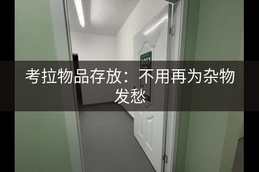 考拉物品存放：不用再为杂物发愁，小型仓库帮你解决
