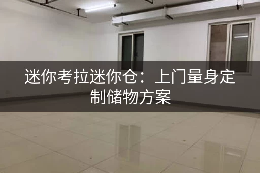 迷你考拉迷你仓：上门量身定制储物方案