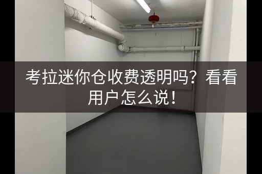 考拉迷你仓收费透明吗？看看用户怎么说！
