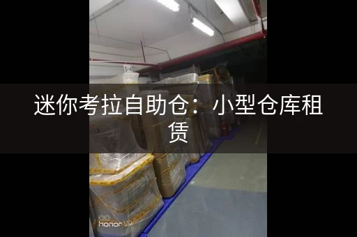 迷你考拉自助仓：小型仓库租赁，价格实惠
