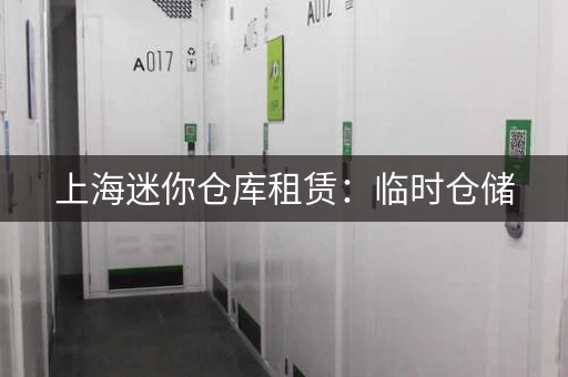 上海迷你仓库租赁：临时仓储，解决空间难题