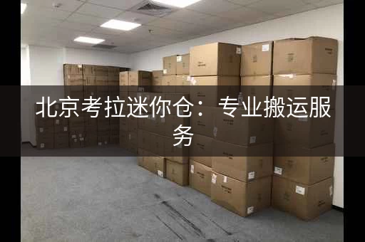 北京考拉迷你仓：专业搬运服务
