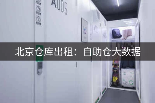 北京仓库出租：自助仓大数据，2100元月起租
