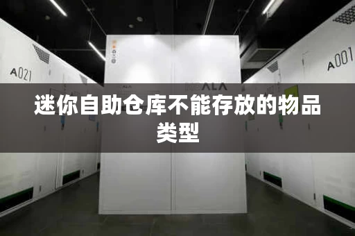 迷你自助仓库不能存放的物品类型