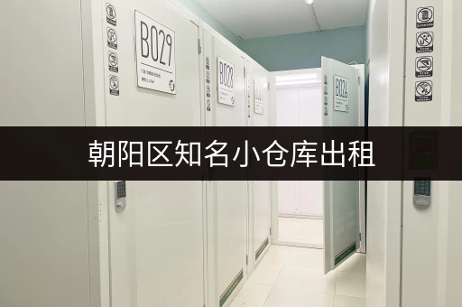 朝阳区知名小仓库出租，20平米起租，价格实惠！