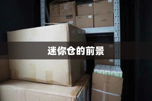 迷你仓的前景，迷你仓怎么运营