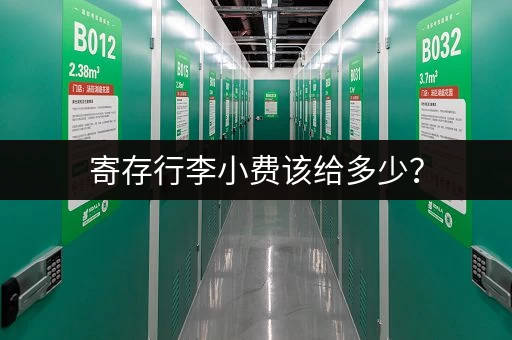 寄存行李小费该给多少？