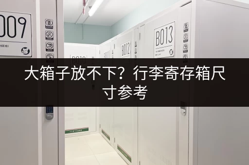 大箱子放不下？行李寄存箱尺寸参考