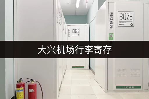 大兴机场行李寄存，价格多少？