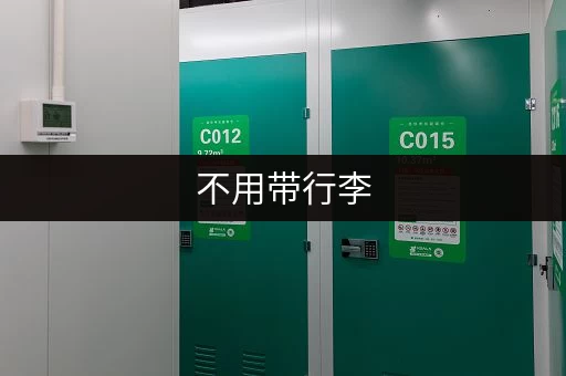 不用带行李,寄存到家更轻松 不用带行李,寄存到家更轻松