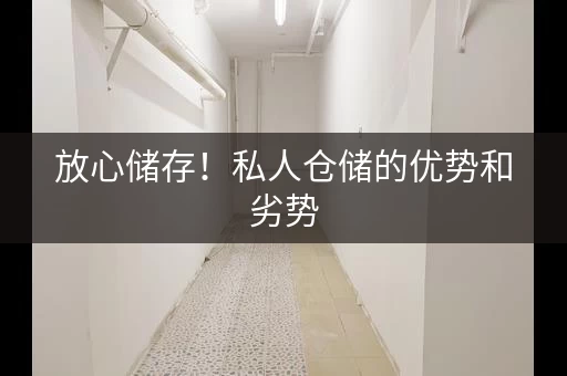 放心储存！私人仓储的优势和劣势