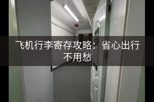 飞机行李寄存攻略：省心出行不用愁