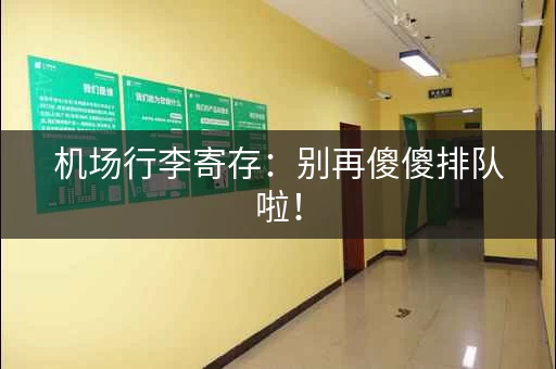 机场行李寄存：别再傻傻排队啦！