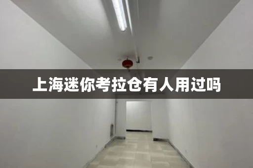 上海迷你考拉仓有人用过吗，迷你考拉仓仓储服务有限公司