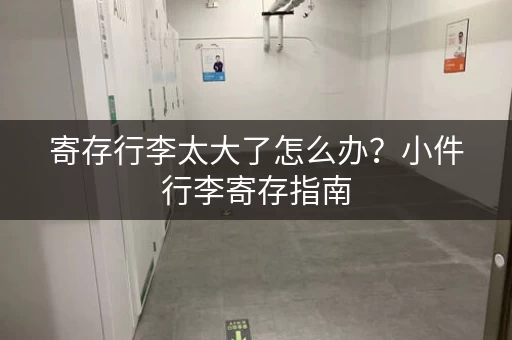 寄存行李太大了怎么办？小件行李寄存指南