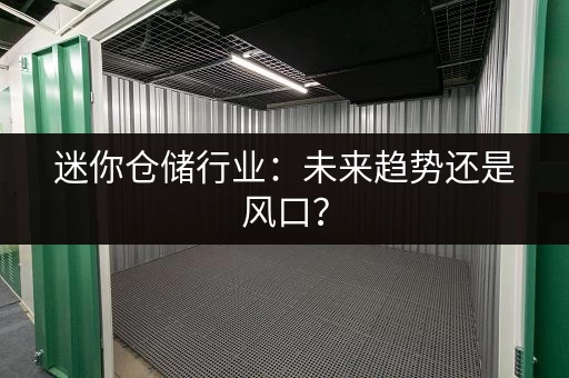 迷你仓储行业：未来趋势还是风口？