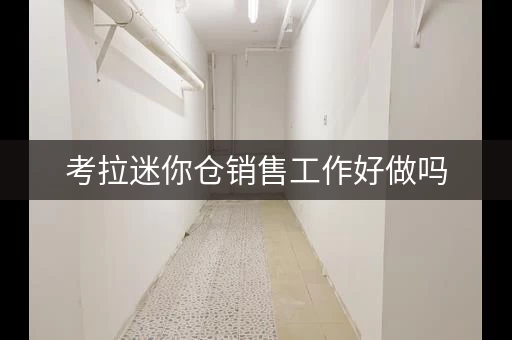 考拉迷你仓销售工作好做吗，考拉迷你仓创始人是谁
