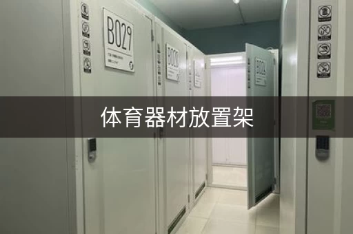 体育器材放置架，体育器材存放柜图片大全
