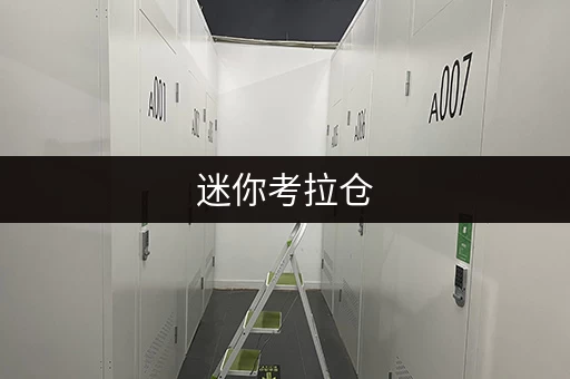 迷你考拉仓，告别传统仓储，开启自助存储新时代！
