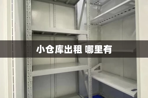 小仓库出租 哪里有，哪里可以租小仓库