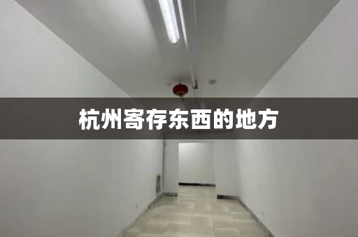 杭州寄存东西的地方，杭州寄存服务