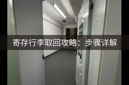 寄存行李取回攻略：步骤详解，不再迷茫
