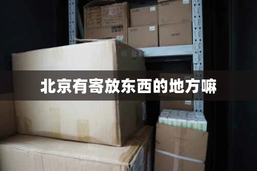 北京有寄放东西的地方嘛，北京物品寄存仓库