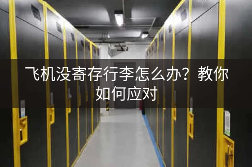 飞机没寄存行李怎么办？教你如何应对