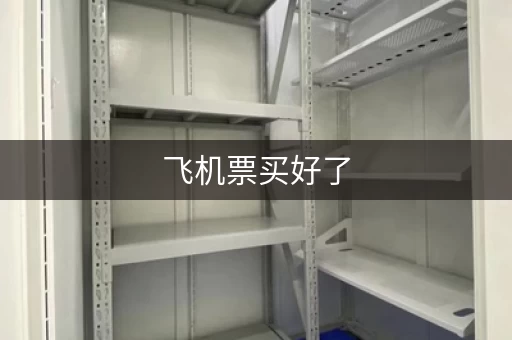 飞机票买好了，行李寄存怎么搞定？