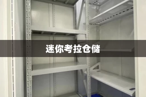 迷你考拉仓储，迷你考拉仓都有哪些服务