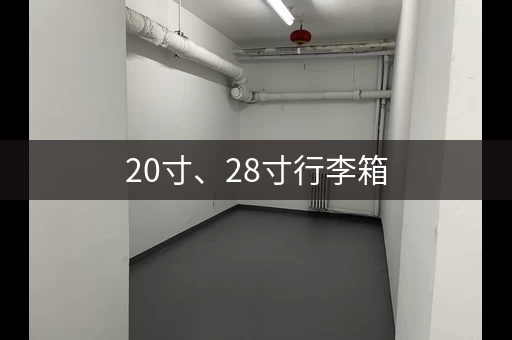 20寸、28寸行李箱，寄存柜都能放！