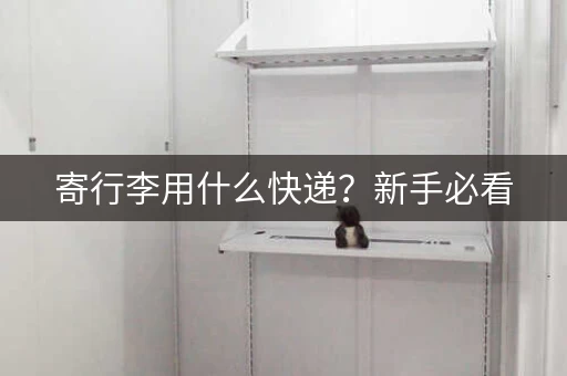 寄行李用什么快递？新手必看