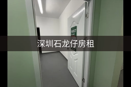 深圳石龙仔房租，龙岗小仓库出租