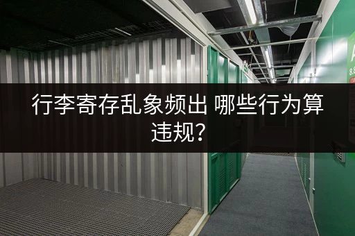 行李寄存乱象频出 哪些行为算违规？