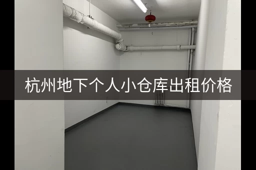 杭州地下个人小仓库出租价格，杭州低价个人仓库地址