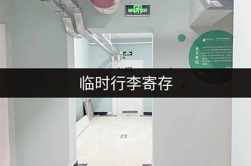 临时行李寄存，这些方法比寄存点更方便