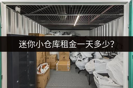 迷你小仓库租金一天多少？